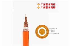 YTTWV-750V礦物質電纜